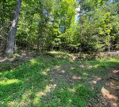 2nd image of 9 Brasstown Acres Dr