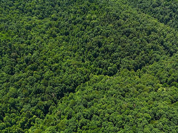 2nd image of Laurel Run Rd
