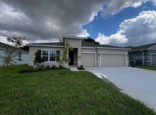 29285 Sedgeway Blvd, Wesley Chapel, FL 33544