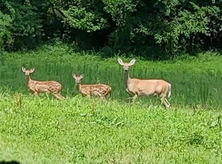 4900 Dock Davis Ct, Clemmons, NC 27012