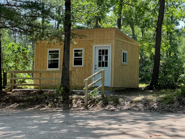 10513 N Peacock Trl, Irons, MI 49644