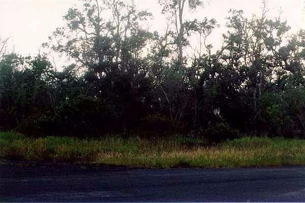 2nd image of 92-1550 Princess Kaiulani Blvd Lot 8