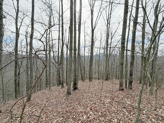 2nd image of 0 Grouse Ridge Rd