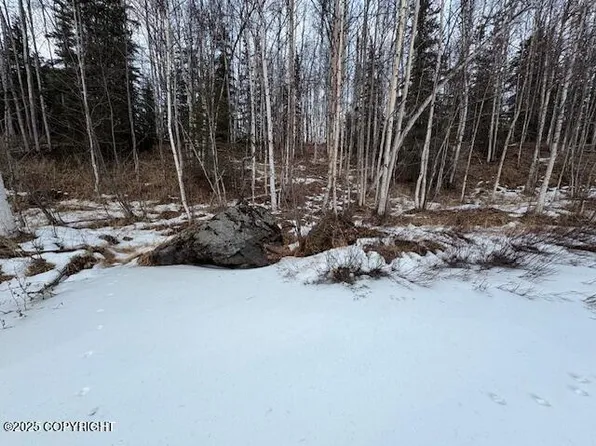L 4 No Rd, Big Lake, AK 99652