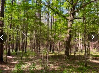 15 Dykes Chapel Rd, Richton, MS 39476