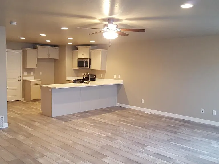 Great room and kitchen