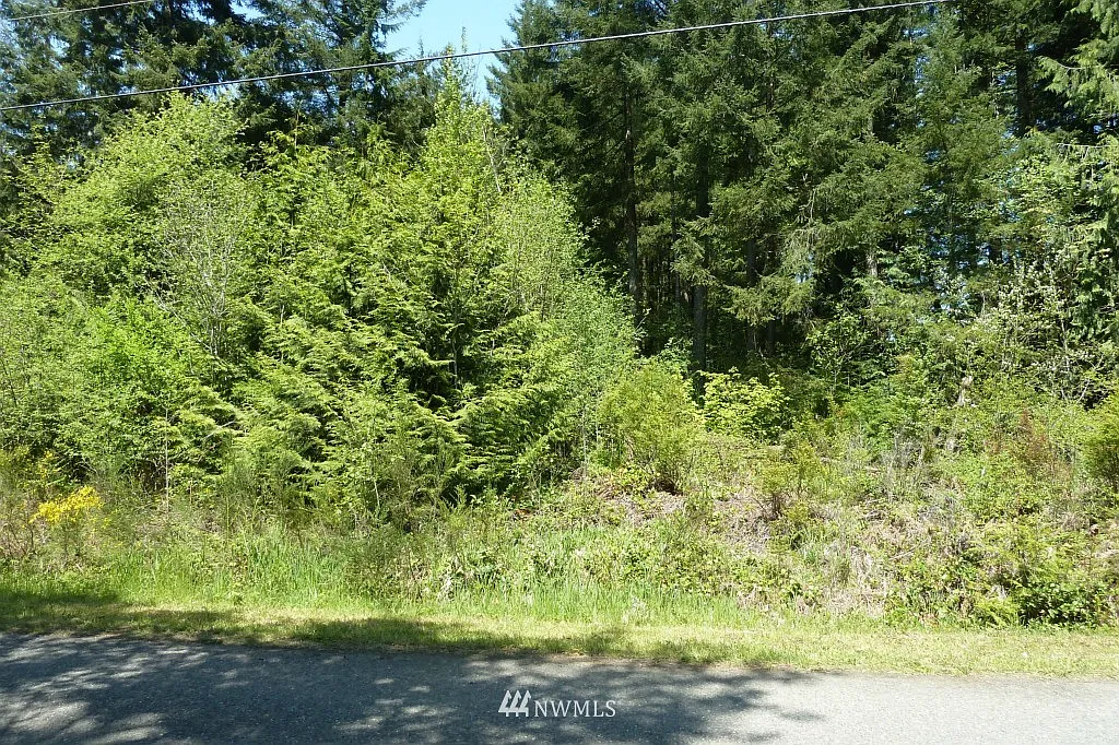 0 xxxx 104th Avenue SW photo 1