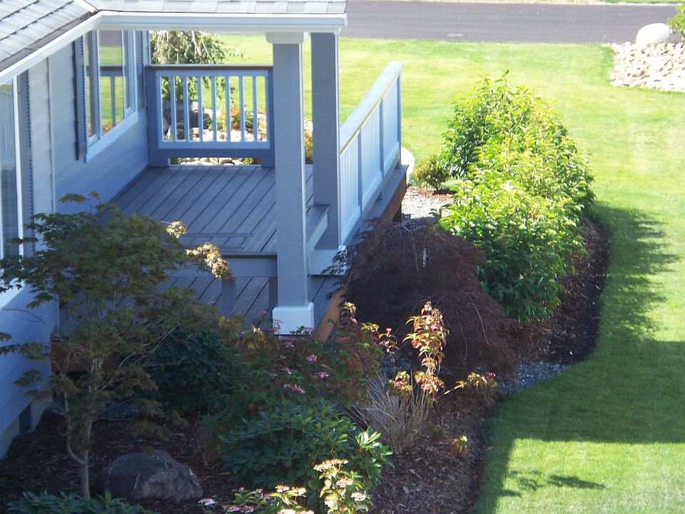 front yard, looking west