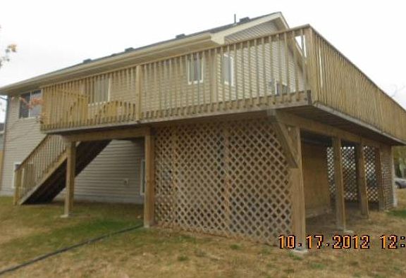 Back View
