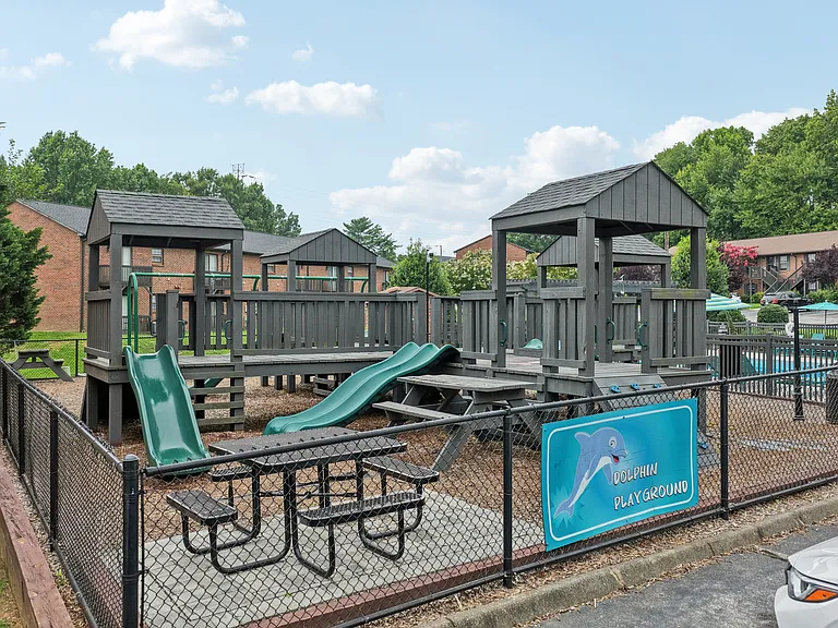Dolphin Playground