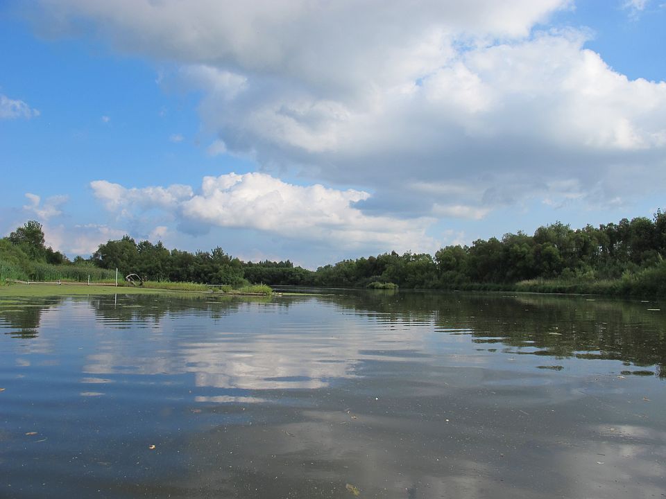 1st image of 128 River Hills Dr