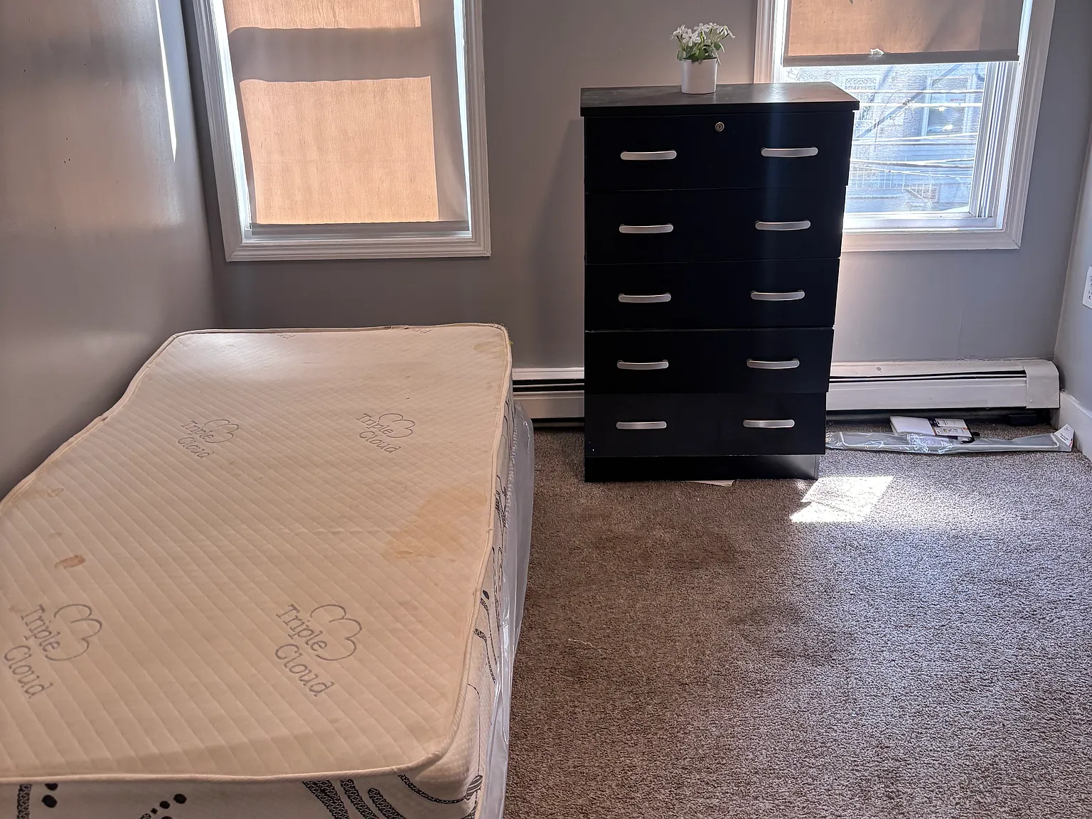 1 bed, 1600 sqft, $800 — Photo 2
