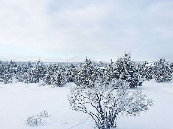 Winter Backyard