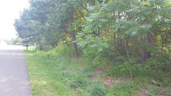 3rd image of 164 Scotch Pine Ln
