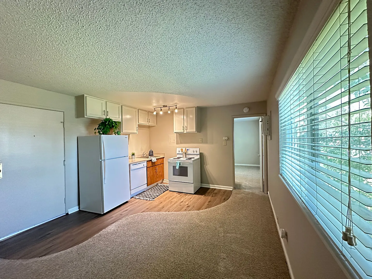 Boutique Apartments in Boulevard Park, Includes Gated, Covered Parking! — Photo 3