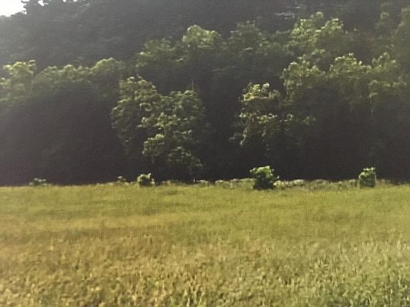5th image of 3455 Clinch River Hwy