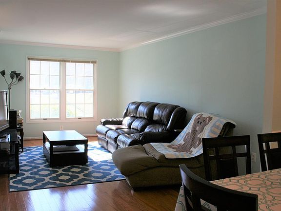 Bright Living Room