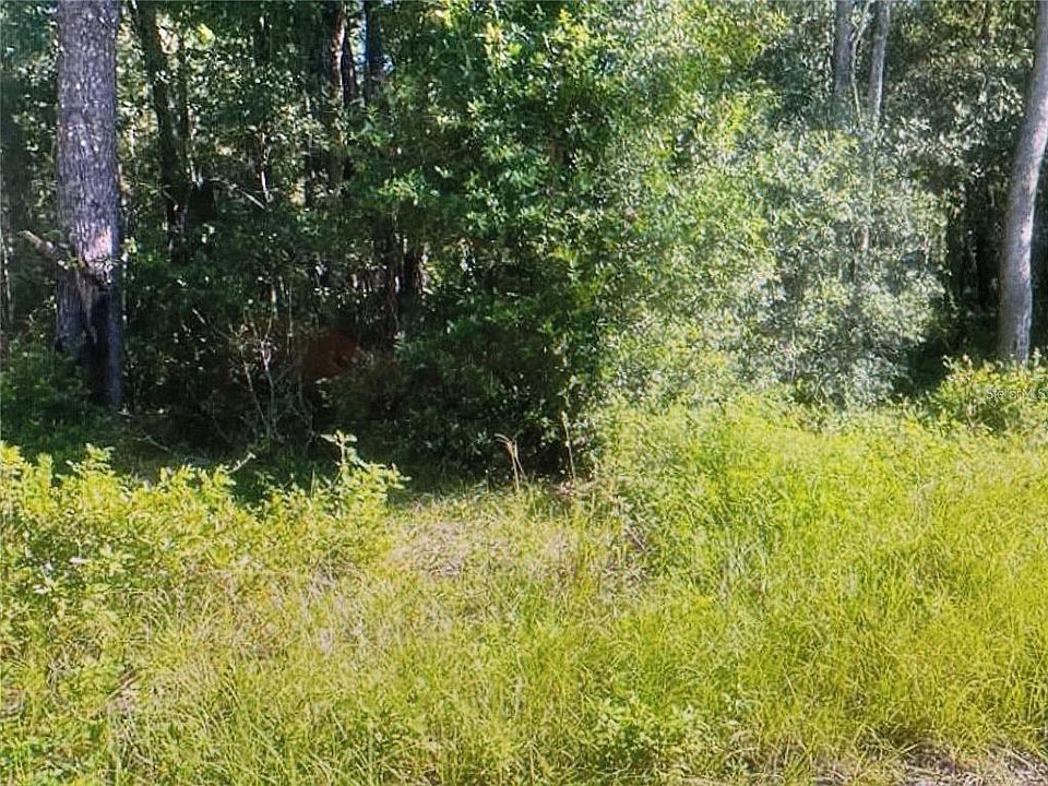 2nd image of TBD ST BENEDICT  DRIVE LOT 113 DRIVE LOT 113