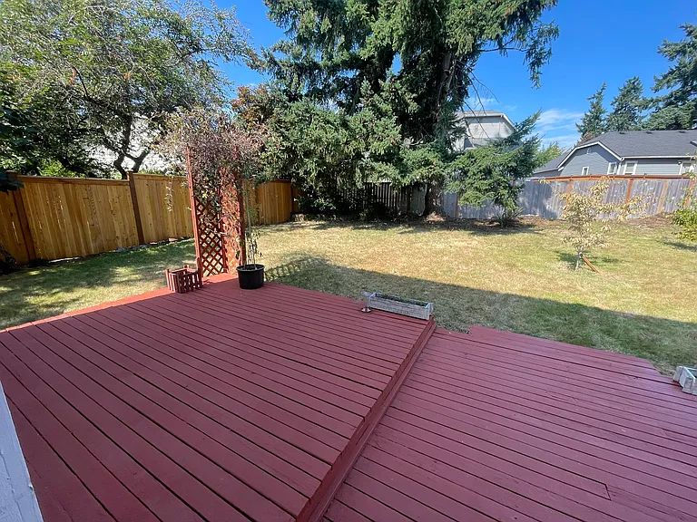 Back yard to the left