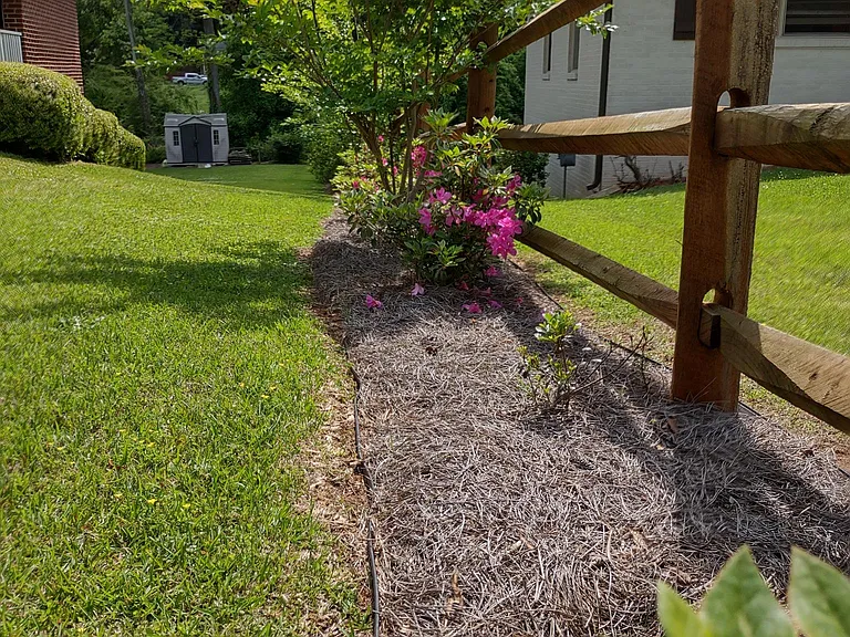 2510 Miriam Ln — Photo 4
