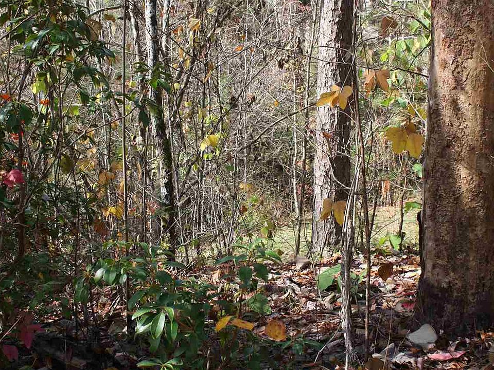 1st image of Stott Ln