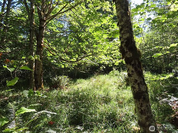 4th image of 0 Salmon Creek Road