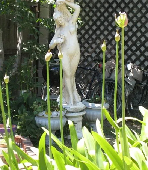 2 7th St #C — Photo 15