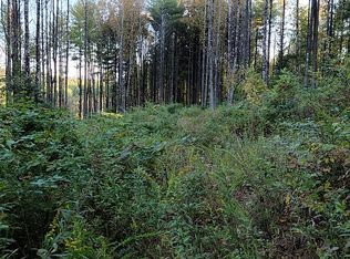 1094 Marthas Knob Rd, Galax, VA 24333