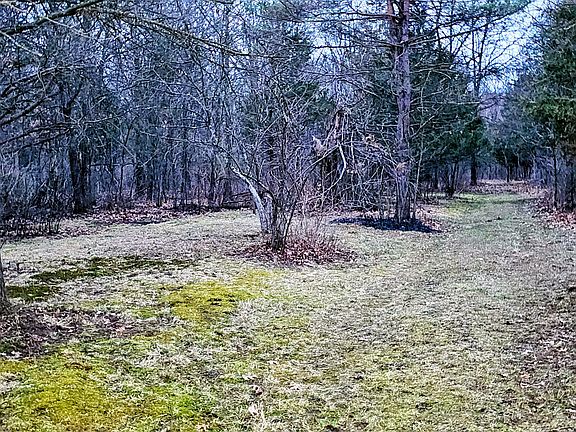 3rd image of 193 Ellis Rd