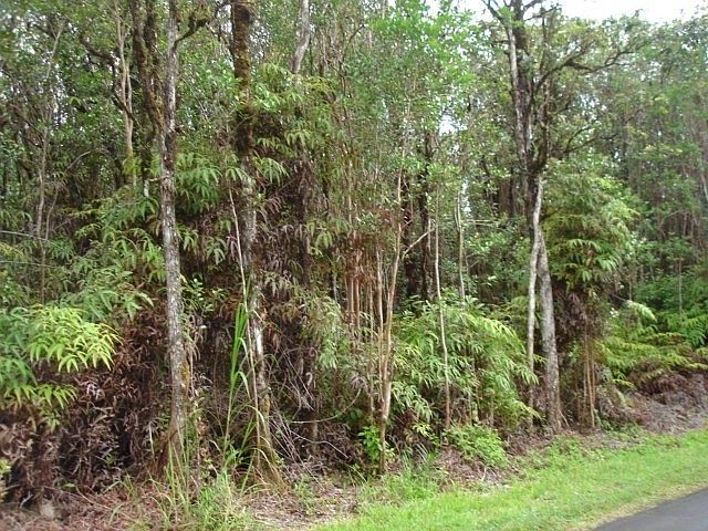 2nd image of Lehua St Lot 7091