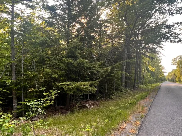 Map 4 Lot 17 TBD North Dexter Road, Parkman, ME 04443