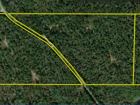 County Highway 34 Lot Wp001, Waynesboro, MS 39367