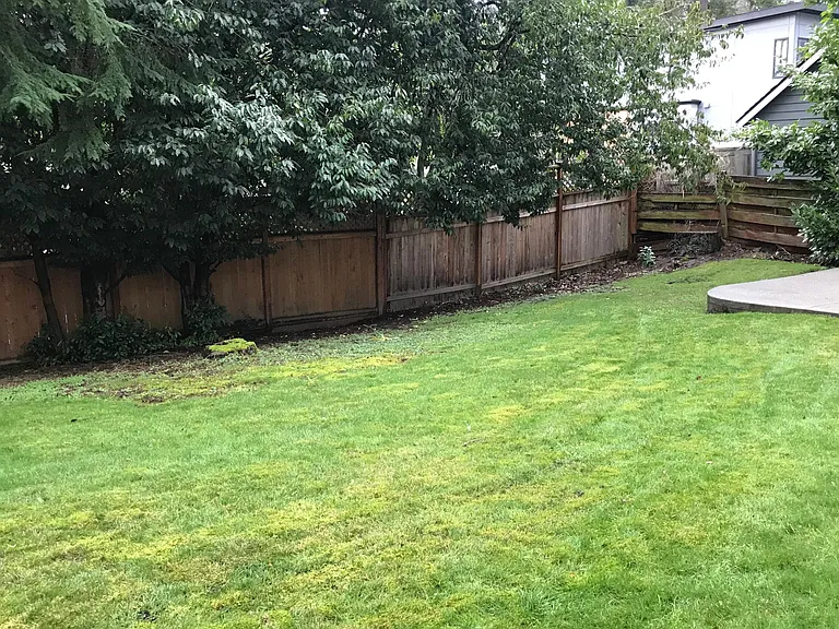Private backyard
