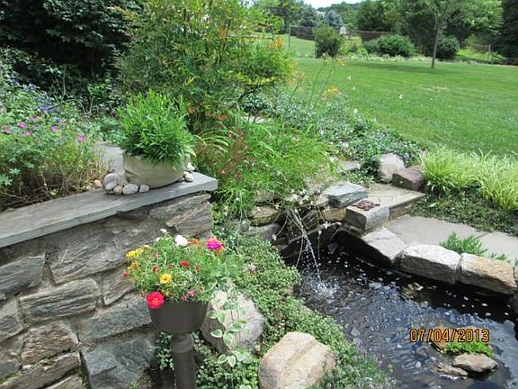 Koi Pond