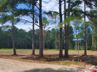 406 Hawks Nest Ct, Moncks Corner, SC 29461