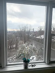 Rented by Brown Harris Stevens