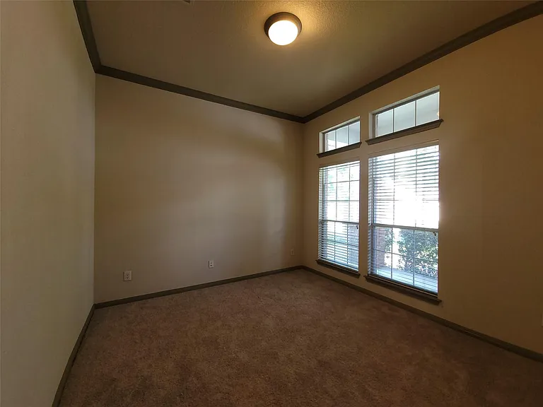 10028 Lisi Anne Dr — Photo 24