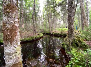 4 Georgetown Woods Rd, Columbia Falls, ME 04623