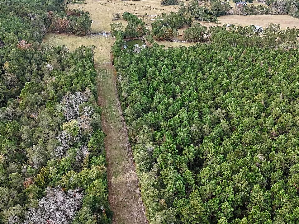 Compass South Land Sales Louisiana Alligator Park Road 1