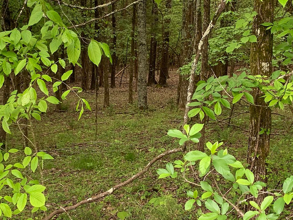 LOT 1058 Mountain View Ln, White Pine, TN 37890 MLS 1115492 Zillow