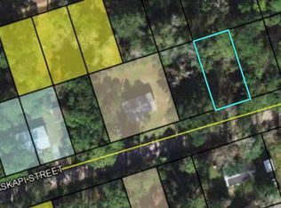 Xx Naskapi St, Crawfordville, FL 32327