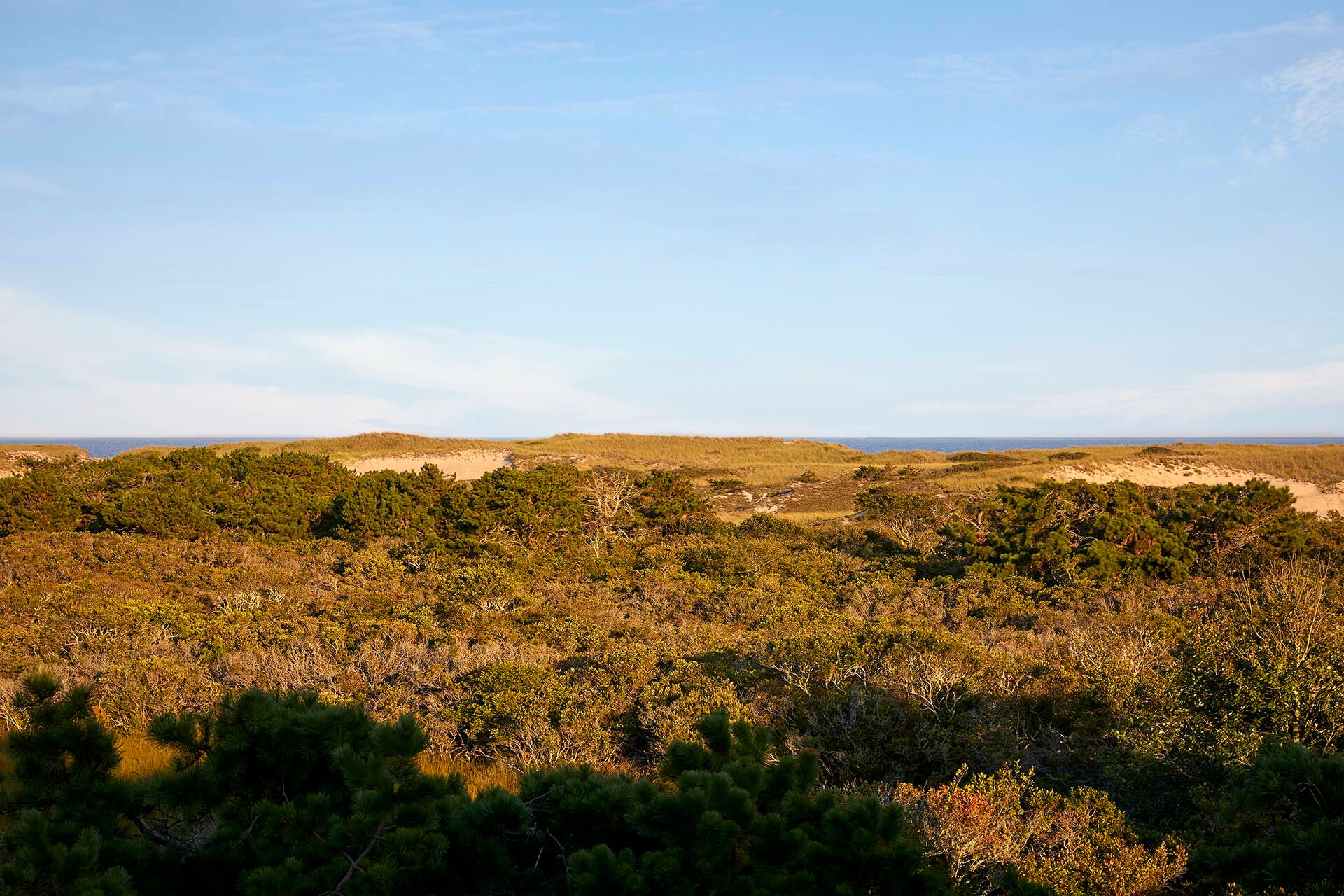 37 Ship Wreck Dr, Amagansett, NY 11930 Out East