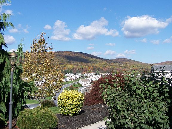 View from front of house