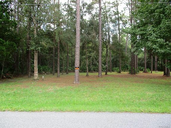 2nd image of 7634 W Narcissus Ln
