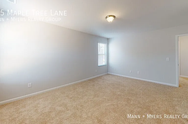 135 Maple Tree Ln — Photo 38