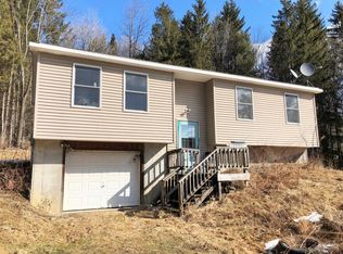 234 Dyer Rd, Jefferson, NY 12093