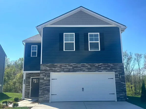 249 Chimney View Loop, Blountville, TN 37617