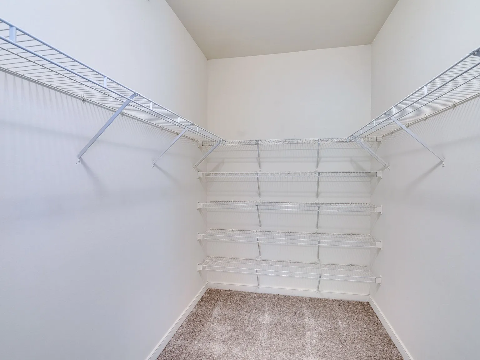 2 bed, 1000 sqft, $1,150 — Photo 3