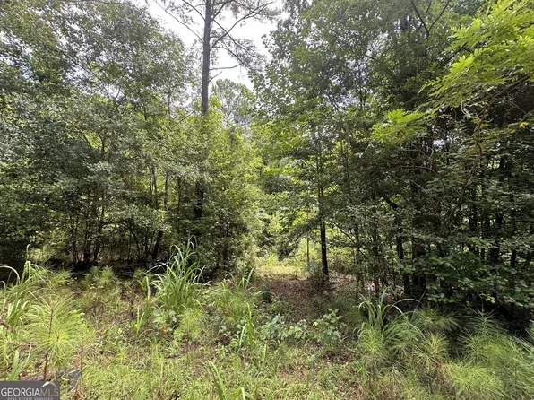 0 Cold Springs Rd, Pine Mountain, GA 31822