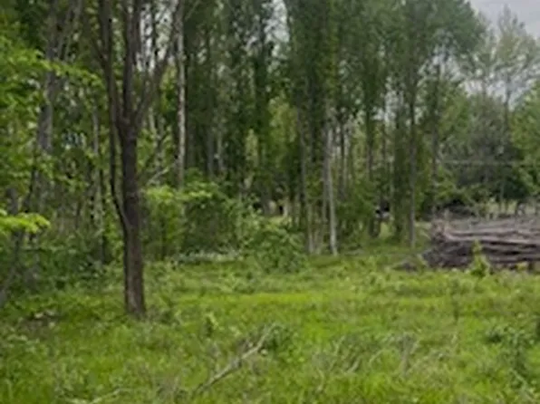 Lots 5 10 Tamarak Ln, Dexter, MO 63841